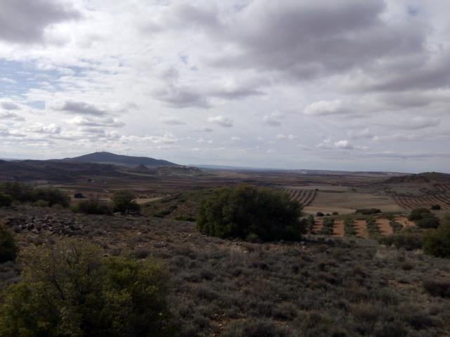 agerlaminitanus's tweet photo. Los ganados trashumantes bordean una vez más el @CerroBilanero y ponen su vista en el centro del #agerlaminitanus https://t.co/Ys4ltnqUtR