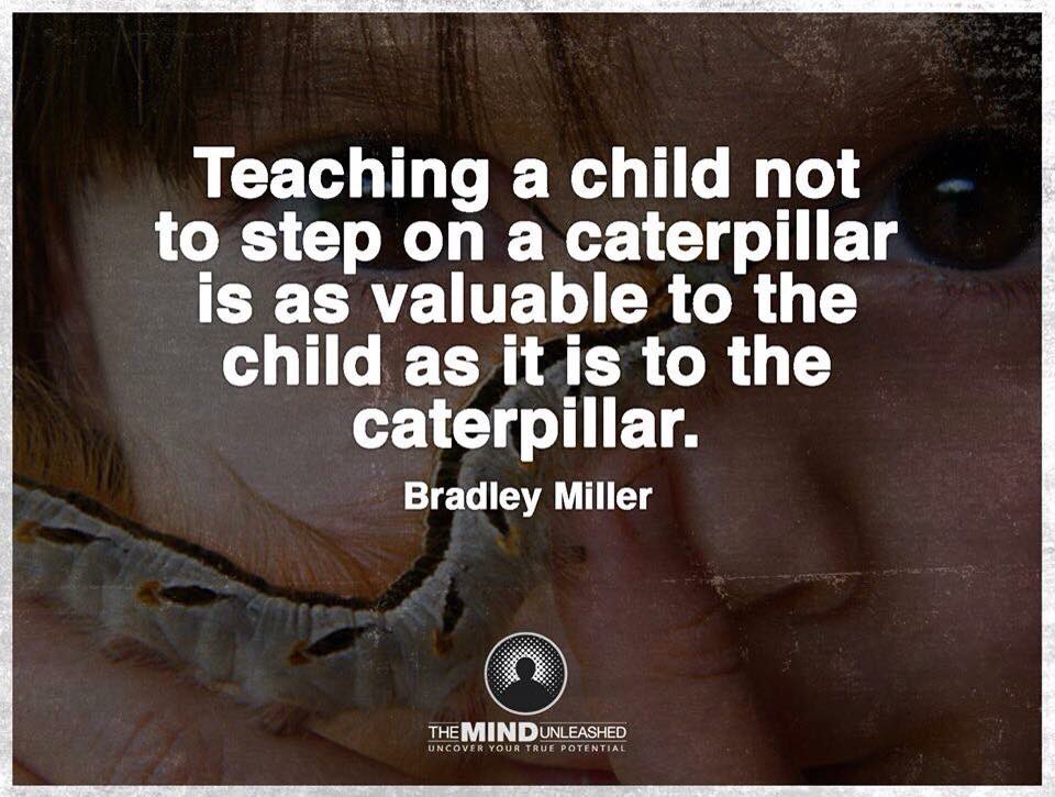 mazharbeig's tweet photo. Teaching a child not t step on a caterpillar is as valuable t child as it is t caterpillar
#ThinkBIGSundayWithMarsha https://t.co/RTfMR6T7Tt