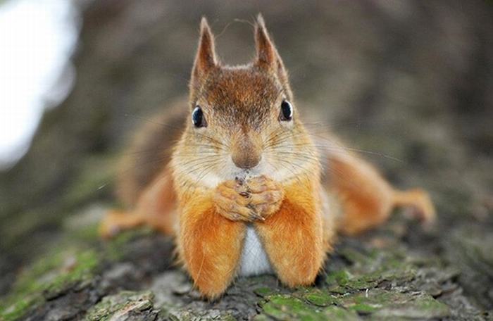 REFLEXIONYFOTO tweet picture