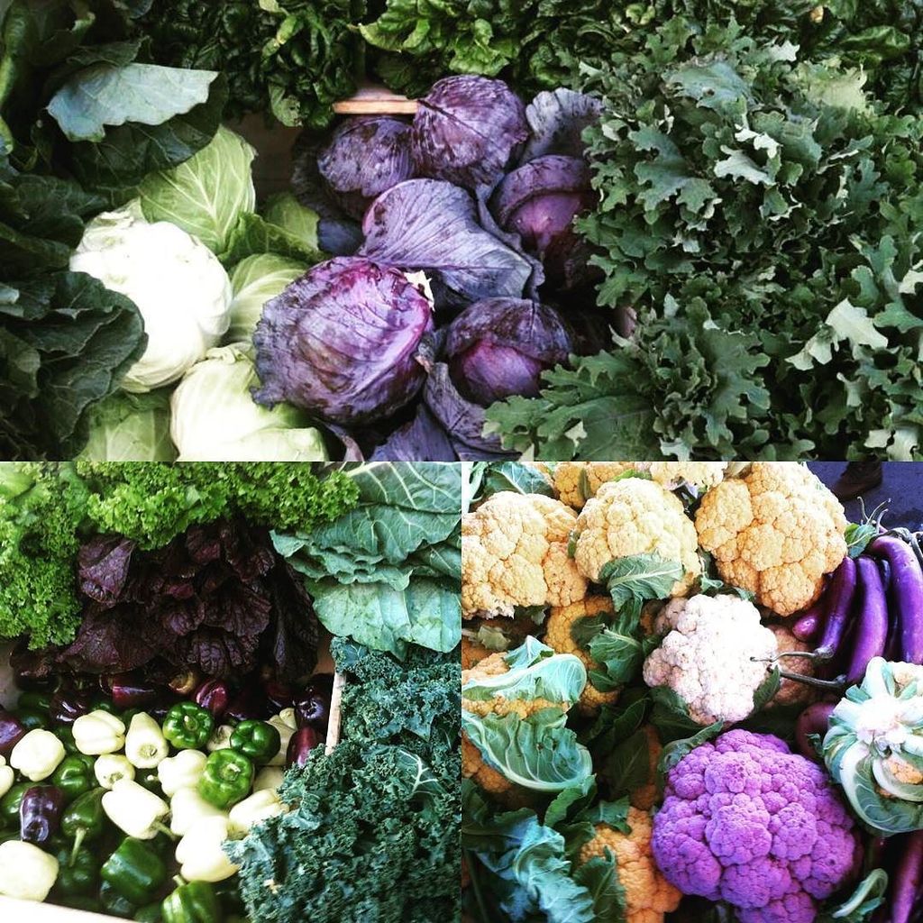 FactoryFranklin's tweet photo. Franklin Farmers Market on saturday = culinary adventures on sunday!
#yum #somanyrecipes #kitchenhero
#thanksfran⦠https://t.co/p4VEISFq71