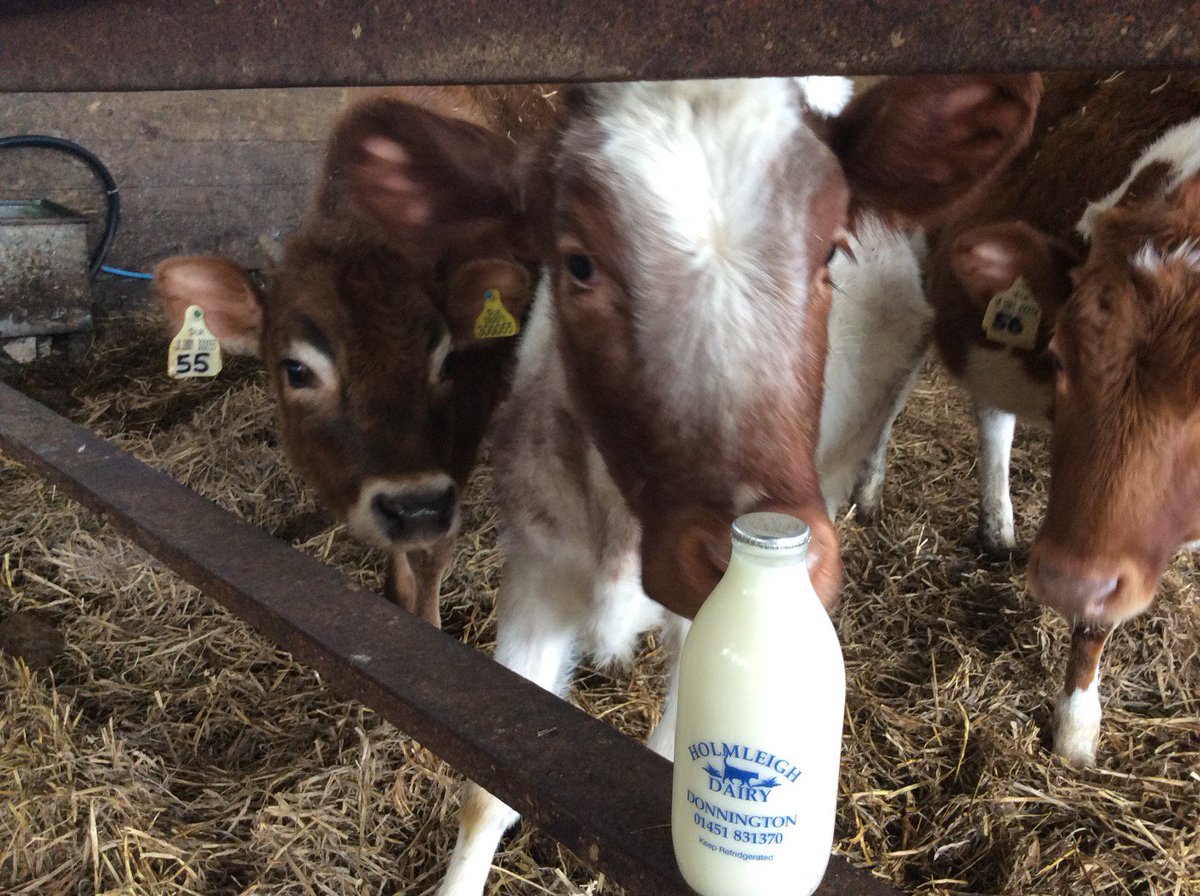 #local #milk #delivery in our new milk bottles