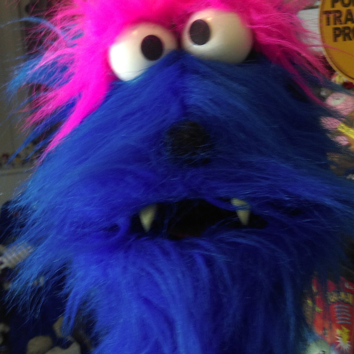 puppethouseshow's tweet photo. Gnash looking confused #puppet #monsterpuppet #gnash #puppetry https://t.co/udgcqhtOtb