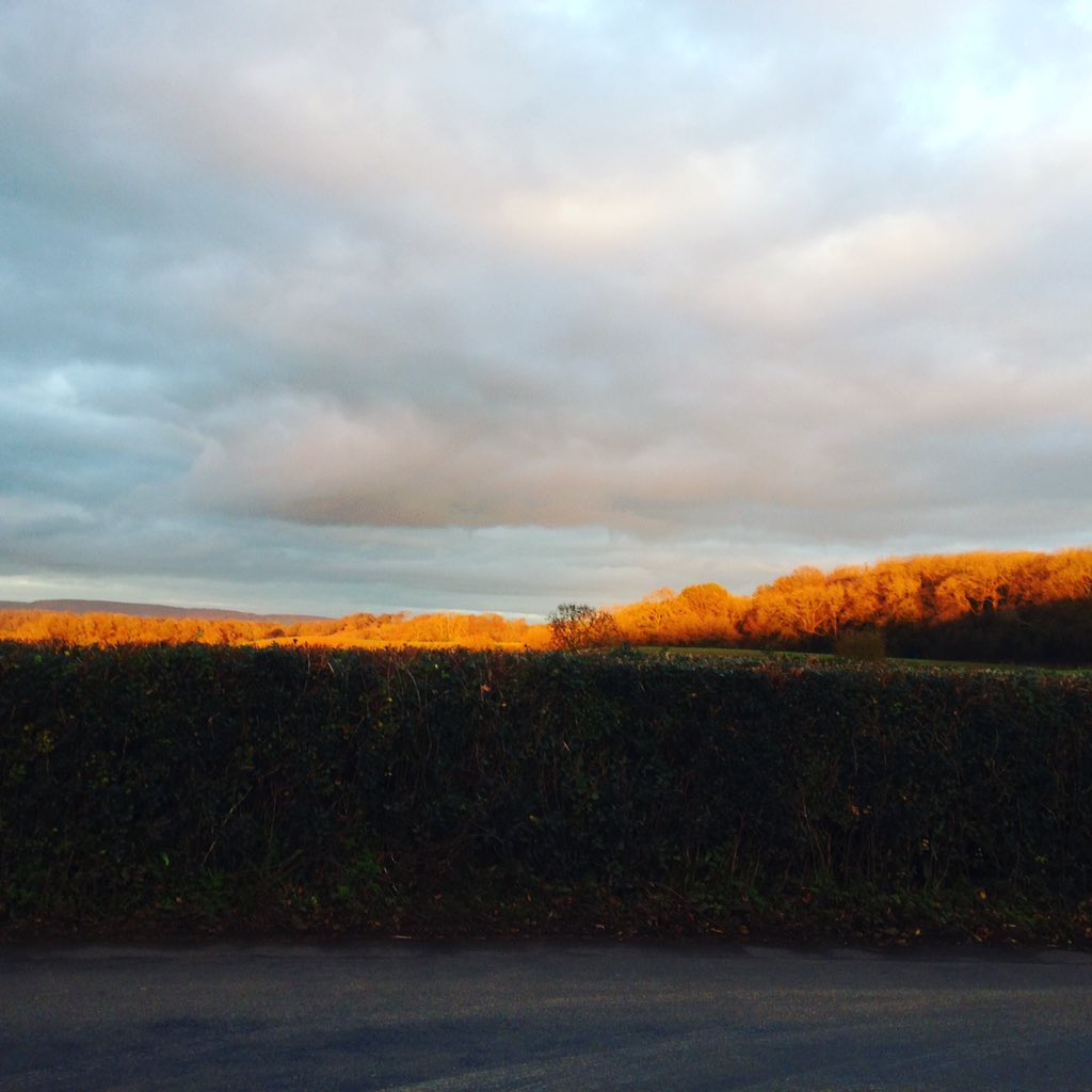 sarainthepink's tweet photo. Last glimpse of November sun #dimpsy #dogwalking @goglandno1 https://t.co/7auYLZhlMx
