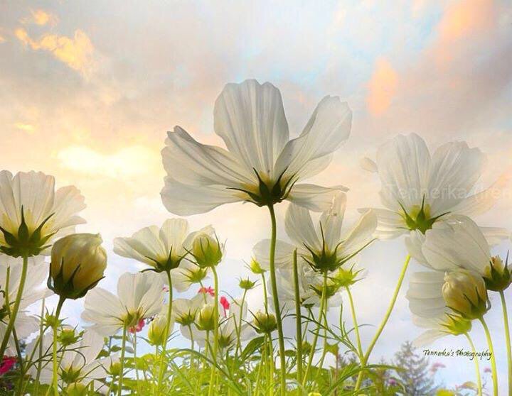 mjesusgz's tweet photo. https://t.co/4IcReb2Em1