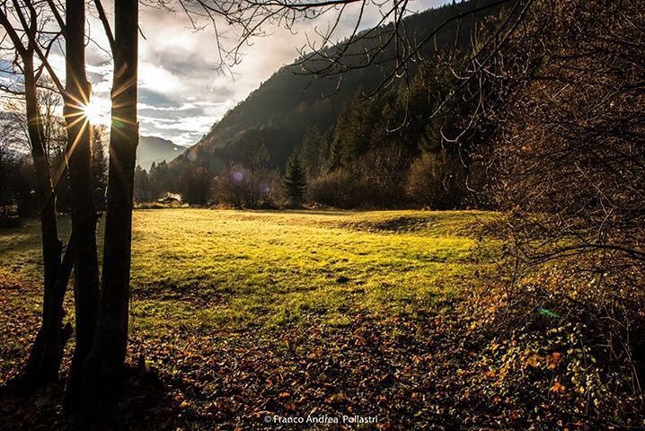 Macfan1963's tweet photo. Un Mattino di Autunno. #instatrentino #vallediledro #pievediledro #trentino #trentinowow #trentinodavivere #instale… https://t.co/npTE8yLB9y