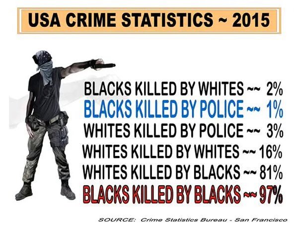 LibsBeLike's tweet image. #RejectedResearchProjects
Who kills who in America