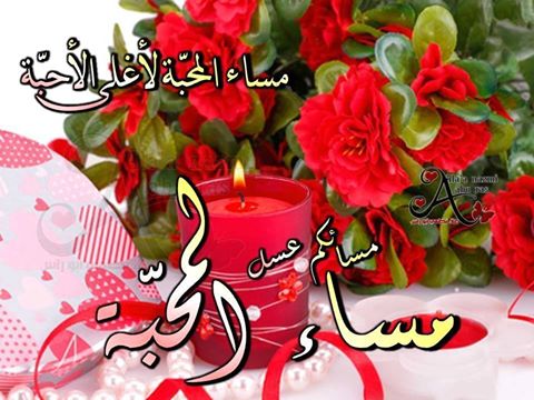hamesali7773's tweet photo. @zoooo43m https://t.co/lLgc3ojqd4