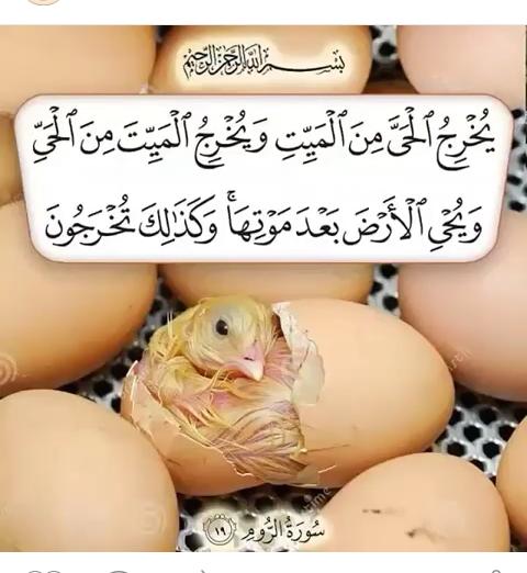 karwanRahim66's tweet photo. https://t.co/IywvmpdLe3