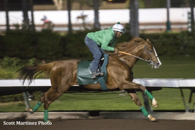 BreedersCup's tweet photo. #CaliforniaChrome 'right on schedule' in first serious breeze": https://t.co/hO73Vp6hLl by @paulickreport https://t.co/955UxKf1no