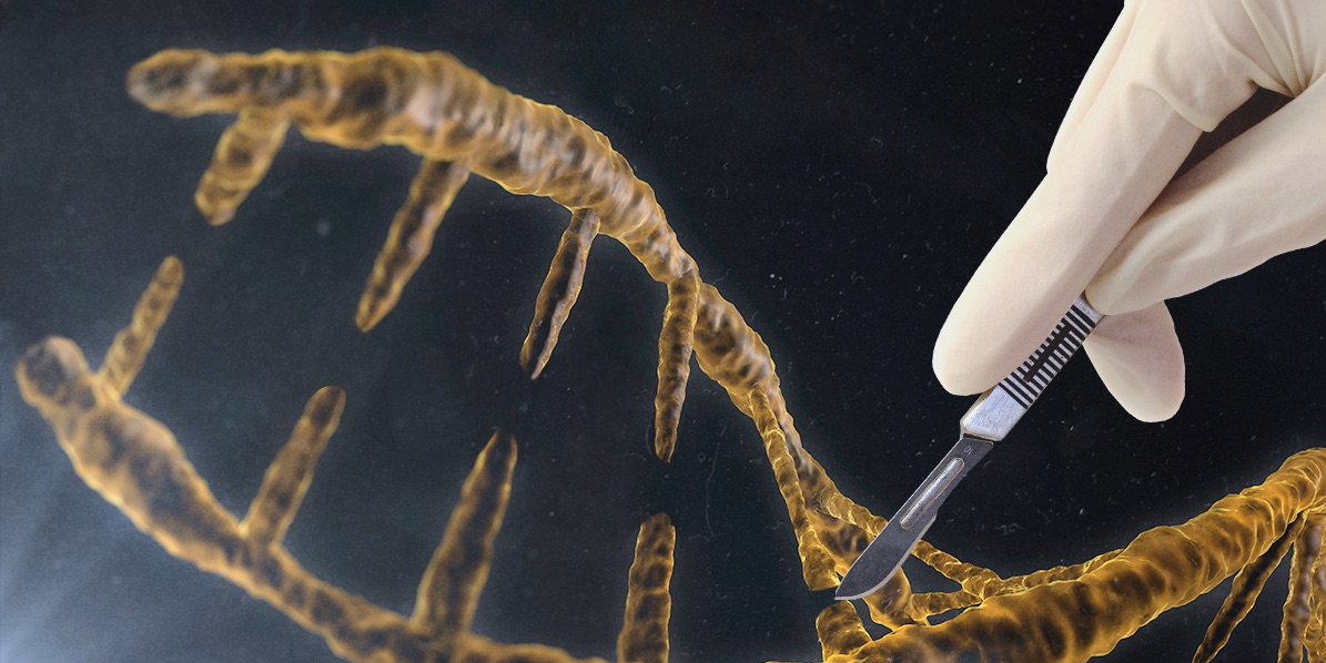 BusinessInsider's tweet photo. Scientists may soon be able to 'cut and paste' DNA to cure disease and design perfect babies https://t.co/KwES092PLd https://t.co/W7FbDHp7nI