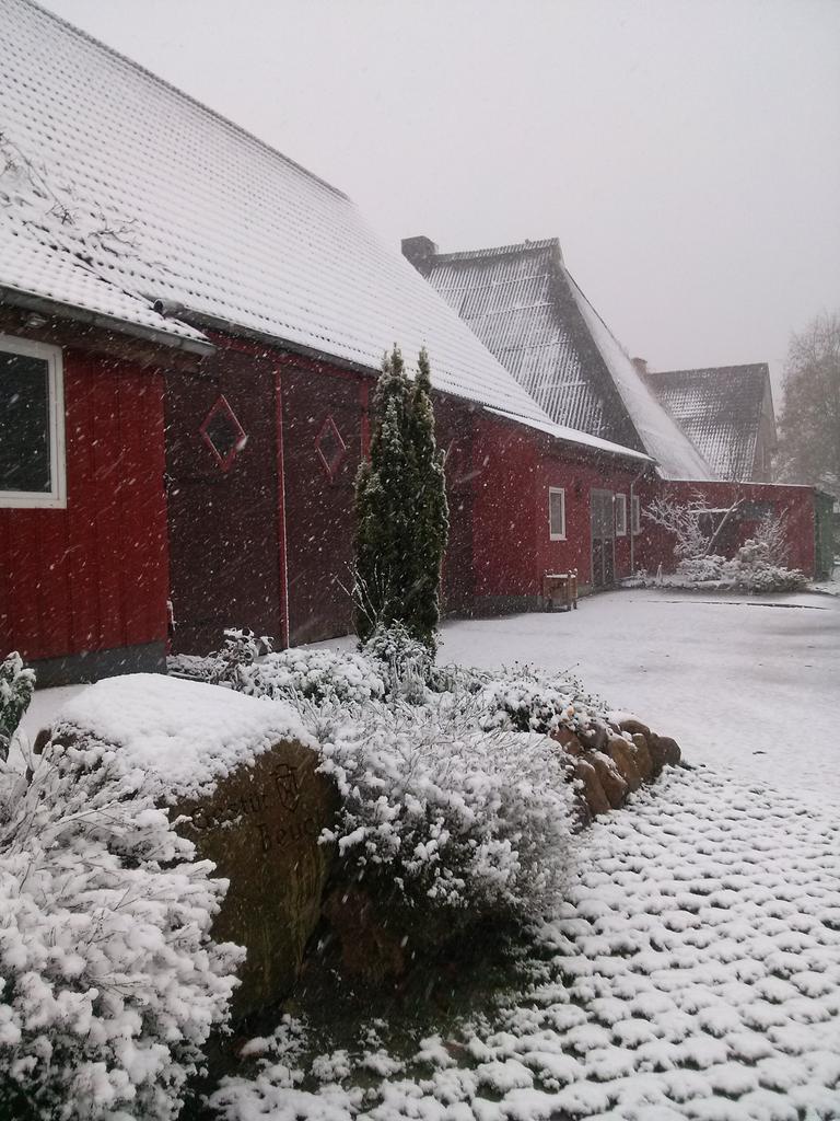HolsteinerGirl's tweet photo. More snow pics of today! Our stable looks really nice with that white roof. #equestrian #equestrianwinter #snow https://t.co/0iWlIlHYF0