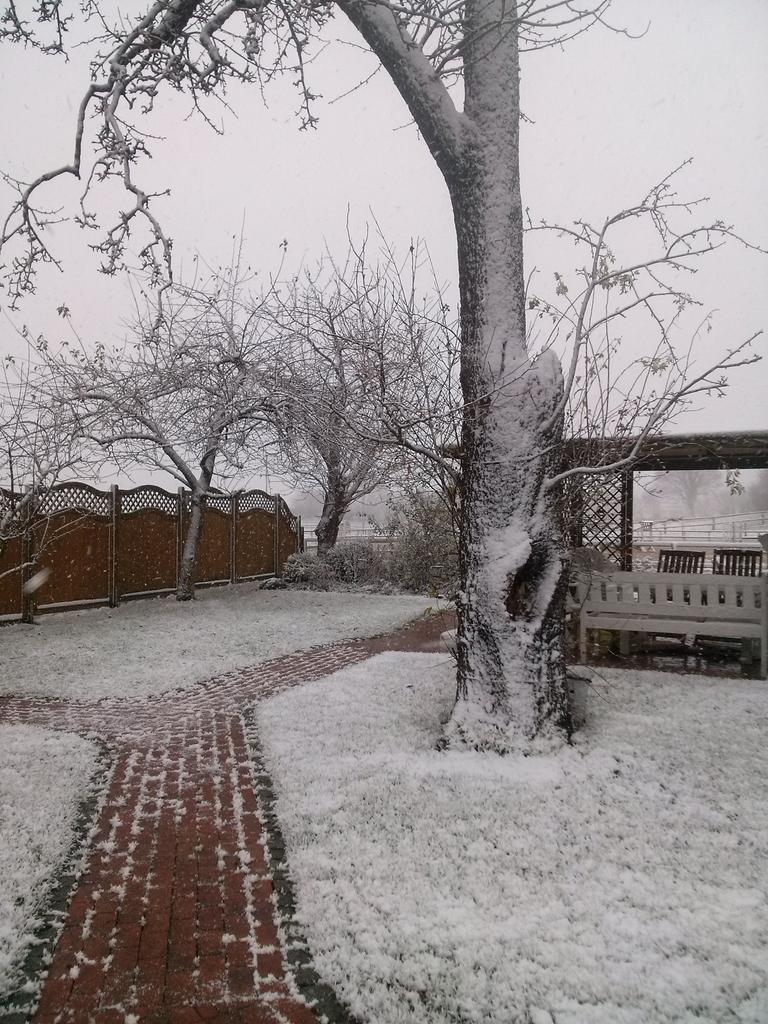 HolsteinerGirl's tweet photo. More snow pics of today! Our stable looks really nice with that white roof. #equestrian #equestrianwinter #snow https://t.co/0iWlIlHYF0