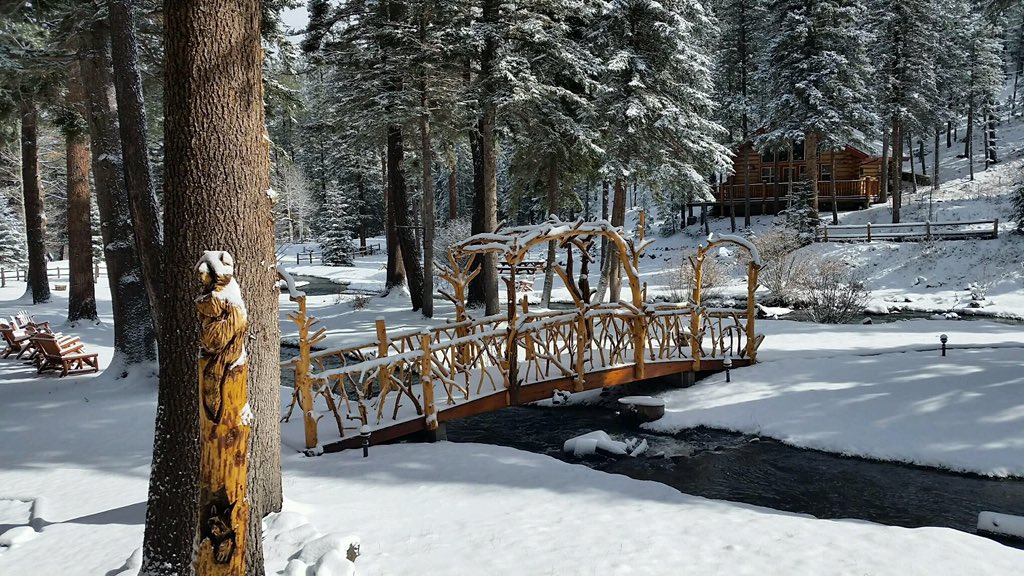 GreerRedSetter's tweet photo. Beauty of a recent snow in Greer. #AzRedSetter #greeraz #greerarizona #greerredsetter #redsetterlodge https://t.co/jIWZKAVVhX
