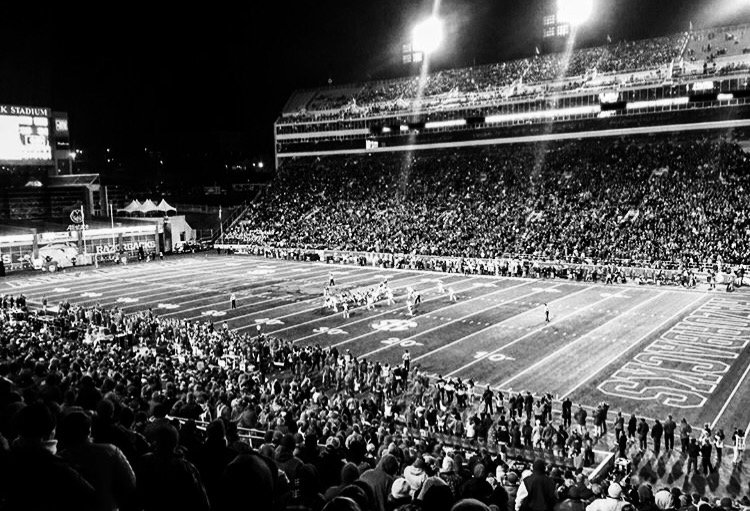 Pig Trail Nation tweet media