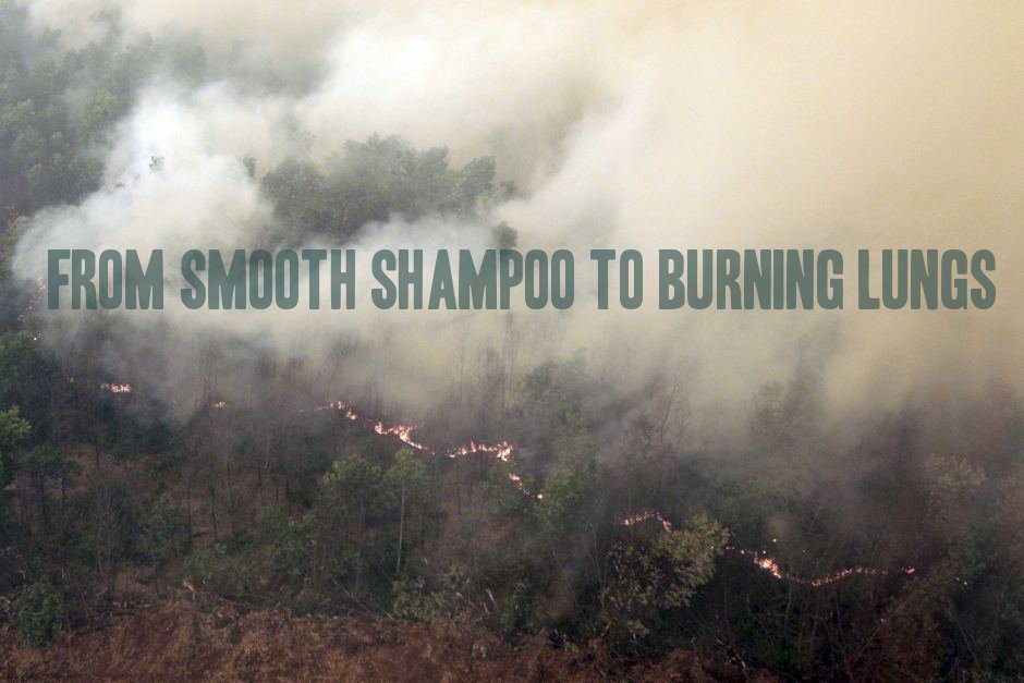 OnlineUWCStuden's tweet photo. What do these 2 things have in common? Learn more about the haze : https://t.co/cDXJFRjmef https://t.co/yyVP1VJvDc