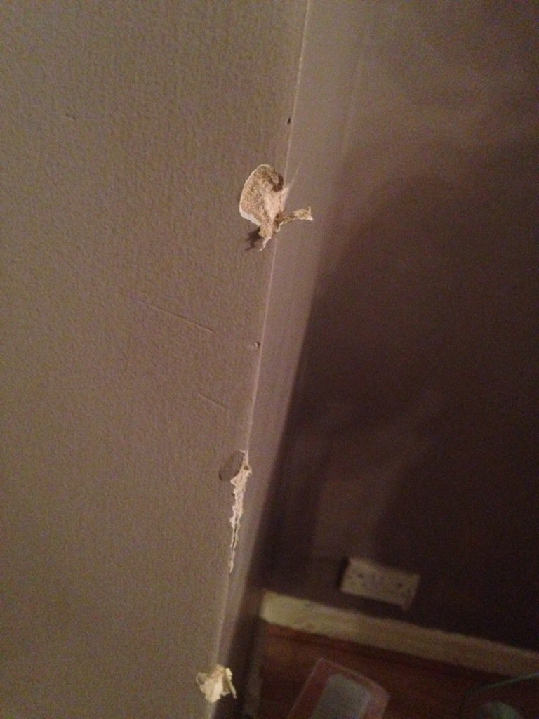 dcm14081971's tweet photo. Well I did quite like my 50" 3D TV #decoratingdisaster @DuncanXXII https://t.co/CflFsXf5eM