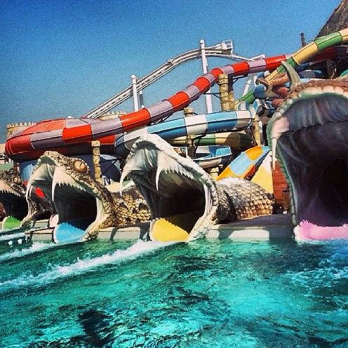 Namritha_'s tweet image. One of the best days I spent in #Abudhabu . Snakes why? Rides @yaswaterworld Slithers slides🐉 #travel