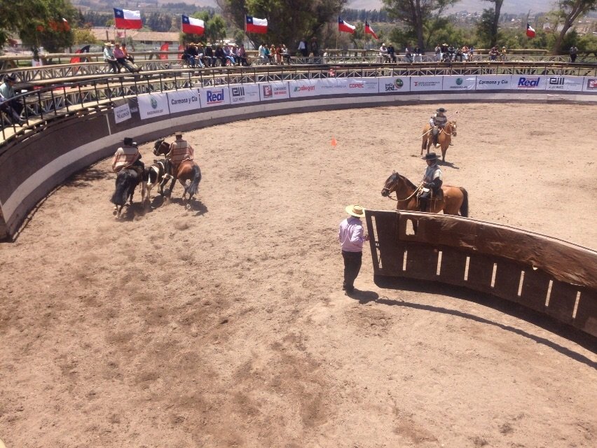 EAD_SMedicos's tweet photo. E.A.D PRESENTES DONDE TU MAS NOS NECESITES! EN RODEO REGIONAL, IV REGION.
#enDiosnosotrosconfiamos #GRANDEESDIOS https://t.co/J3GJgGOeI0