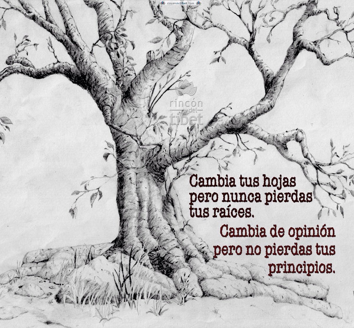 Precauciones para el cambio <a href="/rmazuelas/">Roberto Mazuelas</a> <a href="/Demaryval/">Mary Val Hdez</a> <a href="/RolandoACuevas/">Rolando Cuevas</a> <a href="/armario_rebeca/">El Armario de Rebeca</a> <a href="/carla_molinero/">Carla Molinero</a> #cmahcc