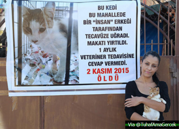 TuhafAmaGercek's tweet photo. Mersin'de hayvansever Yasemin Açık, tecavüz sonucu ölen kedisi için evinin kapısına protesto afişi astı. https://t.co/d6paQRYazN