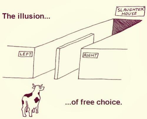 realbadger's tweet image. Voting, and the Illusion of &quot;Choice&quot; #RejectedResearchProjects
