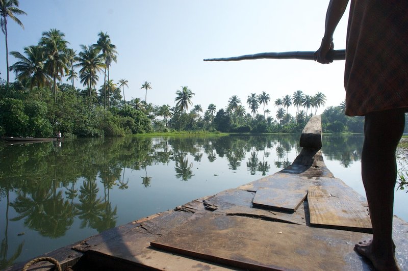 Wandererzzz's tweet photo. Inde du sud : un itineraire aux petits oignons pour visiter le Tamil Nadu et le Kerala https://t.co/BZB5lTBrZo https://t.co/oXjoIkIK8c