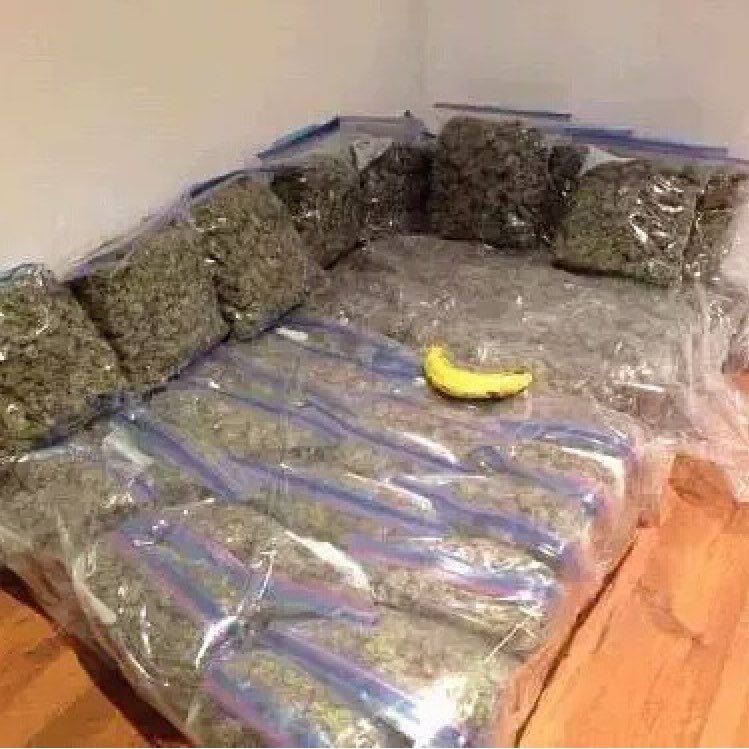 WORLDSTAR's tweet photo. Couch goals https://t.co/T469rJiPsQ