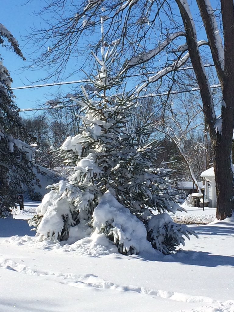 kochjones's tweet photo. Looking forward to getting outside today https://t.co/aomwFvf2er