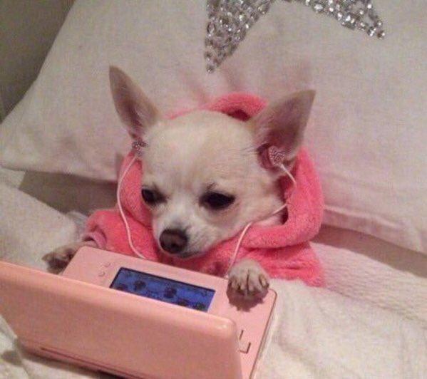 tumbIerposts's tweet image. when ur chilling but bae wants to facetime u