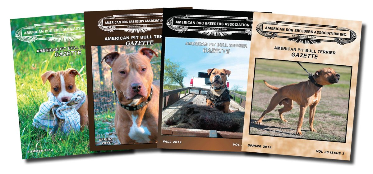ADBA1909's tweet photo. APBT Gazette Back Issue Christmas Special!
Pick 5 for $25 (Quantities of 5 no limit ) https://t.co/OVA7qu9lUw https://t.co/1tnZU2m2Rs