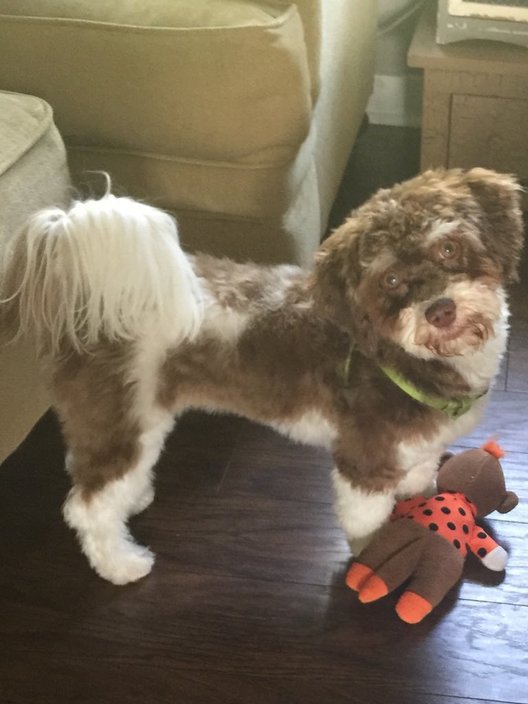 TheRealSWindsor's tweet photo. It's my birthday! It's my birthday!!!#allaboutme #simonturns1 https://t.co/qQwhERo2Yc