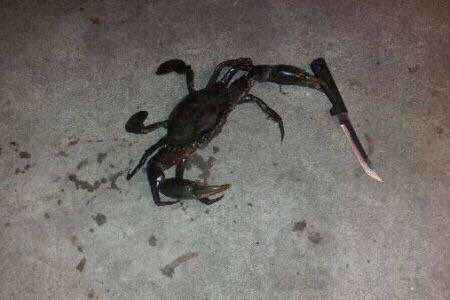 YEEZUS + tweet media