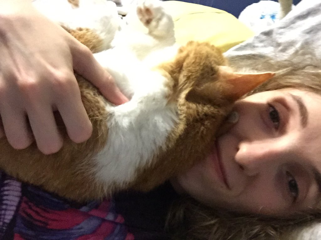 NightlyGiggles's tweet photo. Tiggy my kitty cat I love you more then I loved anyone and you will forever be in my heart #RIPTiggy https://t.co/SPF17nvWmQ