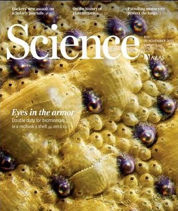 FreePdfFile's tweet image. Science - 20 November 2015 Magazine Pdf free download | English | 135 pages |
Download-&amp;gt; freepdffile.com/Science---20-N…