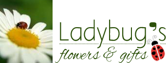 @YourStoryMedia Thank you for following Ladybugs Flowers & Gifts ladybugstulsa.com #keeping #Tulsa #local