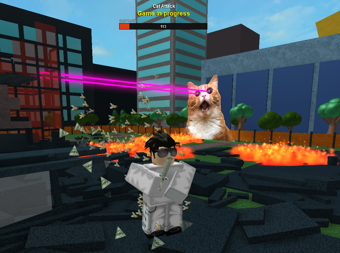 Loleris On Twitter Lets Face It This Cat Is Hands Down - 