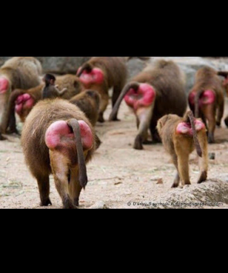 Lulimarzari's tweet photo. Los K saliendo del búnker 👋🏼 https://t.co/mqWp1mrYiM