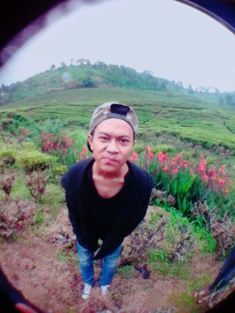 Remember Of Glory tweet media