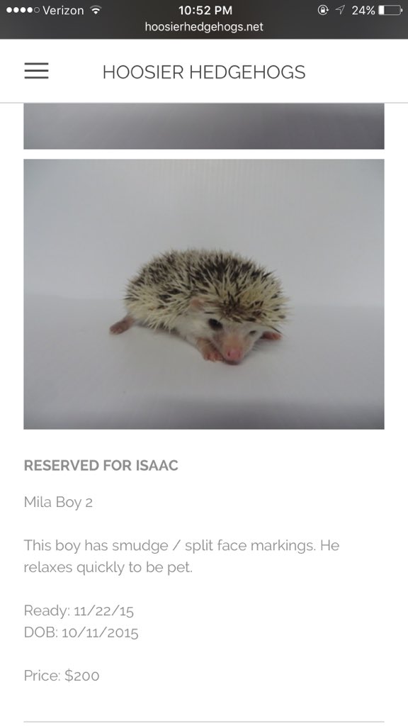 HedgeEhHogs's tweet photo. Everyoneeeee look look look https://t.co/5FDzSAakqm