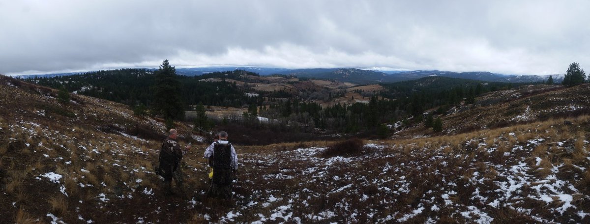 logman90's tweet image. Hunting last weekend. Does let me just walk up to them