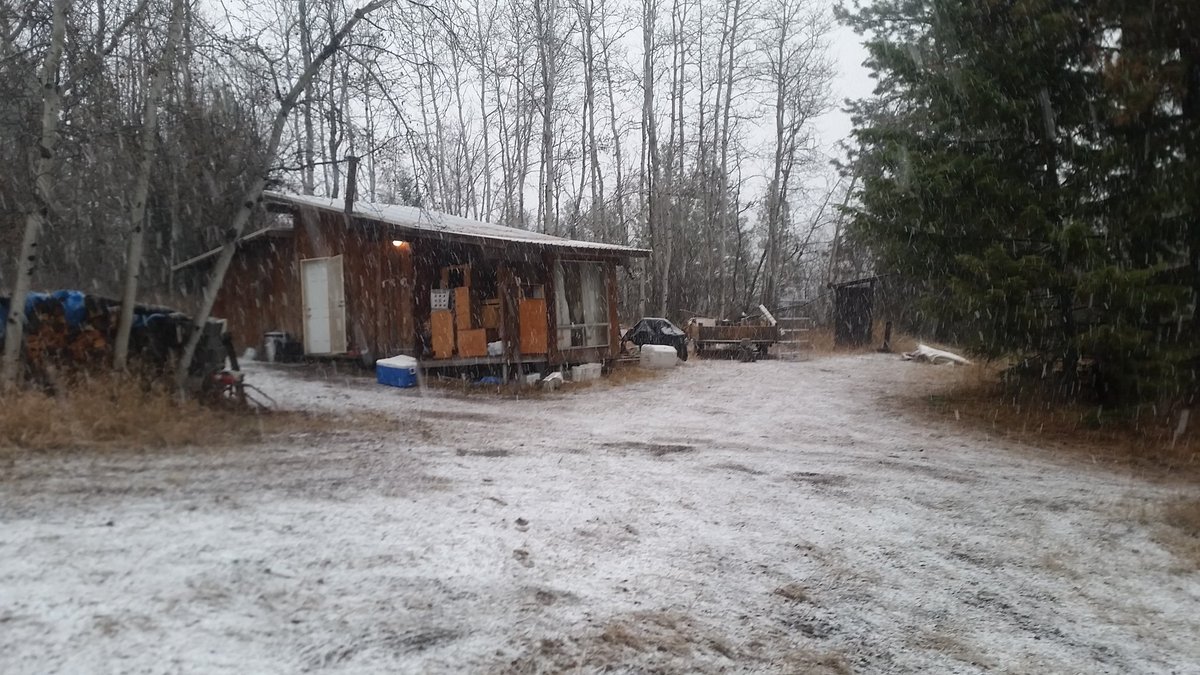 logman90's tweet image. Hunting last weekend. Does let me just walk up to them