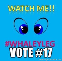 AmandaBrene's tweet photo. #WhaleyLeg #17 Vote Carter Whaley Junior BETA President TN #vote #beta https://t.co/laJTS4ZcKi