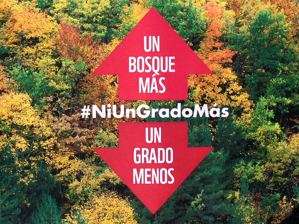 MiguelMurciaWWF's tweet photo. 3.000 árboles en 12 provincias de 7 Com. Autónomas, plantados por 350 personas en la #PlantacionEnRed de @WWFespana https://t.co/lYmJo4SdfC