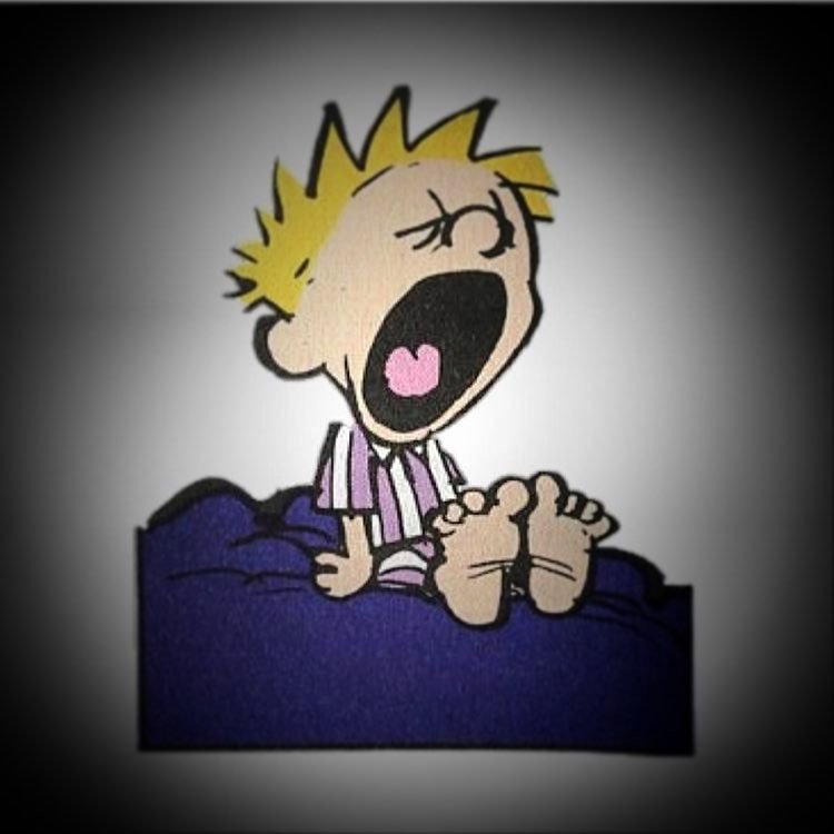 Calvinn_Hobbes's tweet photo. #LazySunday https://t.co/M2PLqfJ3VJ