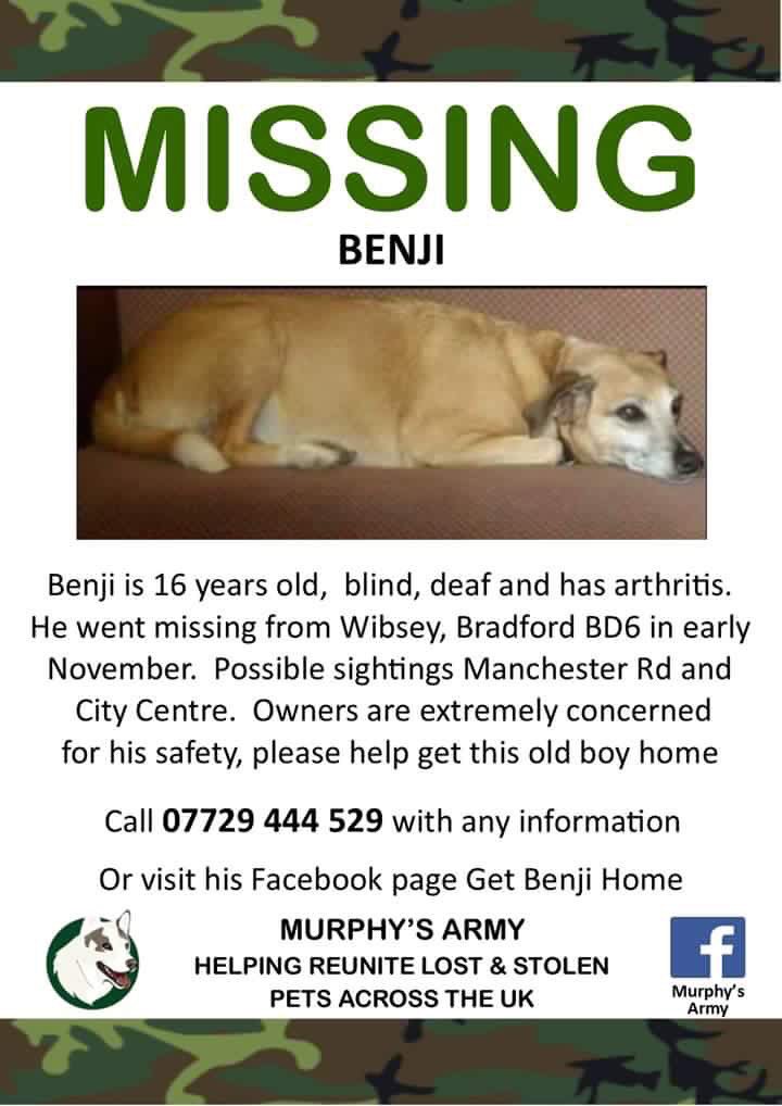 michell57319641's tweet photo. #Benji Missing #pls help us #GetBenjiHome RT far &amp; wide this boy needs to be at home in the warm @findmurphyhusky https://t.co/qqGlWu8Jfw