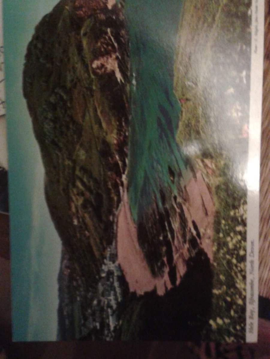 Other Half Productions tweet media