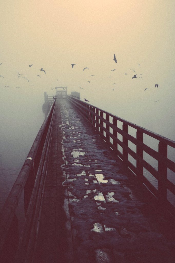 AcquireGarms's tweet photo. Into the fog. https://t.co/IoBXn2y6zM