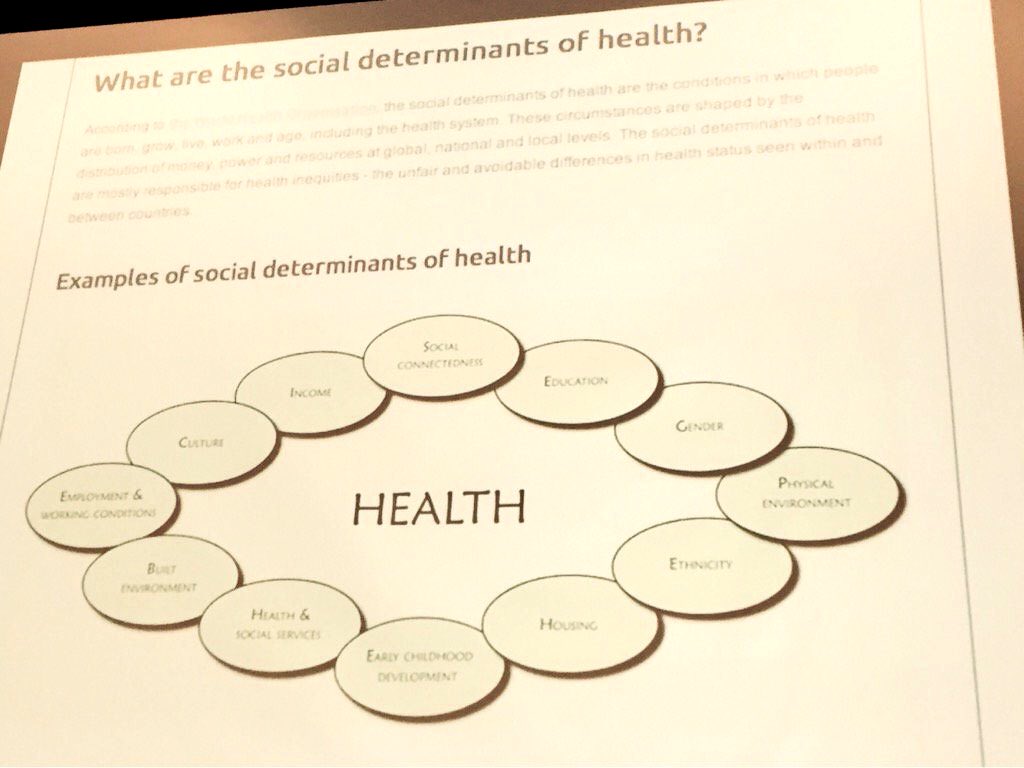 Bridge4Health's tweet photo. #SocialEnvironment #PhysicalEnvironments #PersonalHealthPractices 
#HealthyChildDevelopment
#SDoH #Bridge4Health https://t.co/DSdnWerqGG