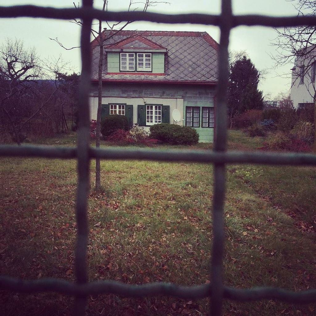 Wohnnet_Immo's tweet photo. Eine kleine grüne Wohn-Oase inmitten der Hauptstadt-Hektik! 🏡 #wohneninwien #knusperhäuschen #garten #wien #igersvi… https://t.co/eDNrJny95P