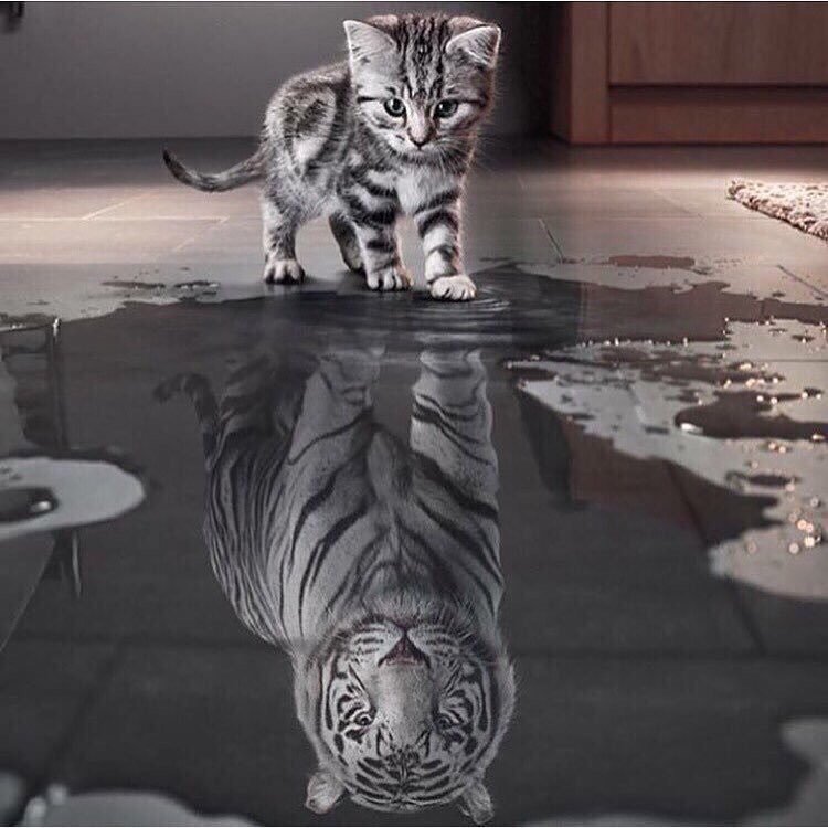 KFO_16's tweet photo. #الاتحاد_الاهلي
كيف يشوف المشجع الاتحادي نفسه وفريقه؟؟
الجواب في الصوره المُرفقه 👇
ههههههههههههههههههههههههههههه😂 https://t.co/IQ1h2STzyu